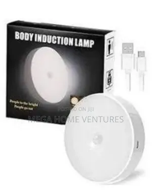 Intelligent Induction Lamp