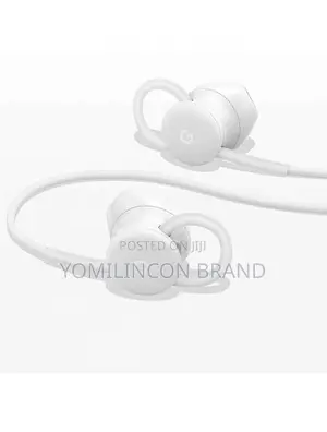 Google Usb-C Wired Digital Earbud Headset