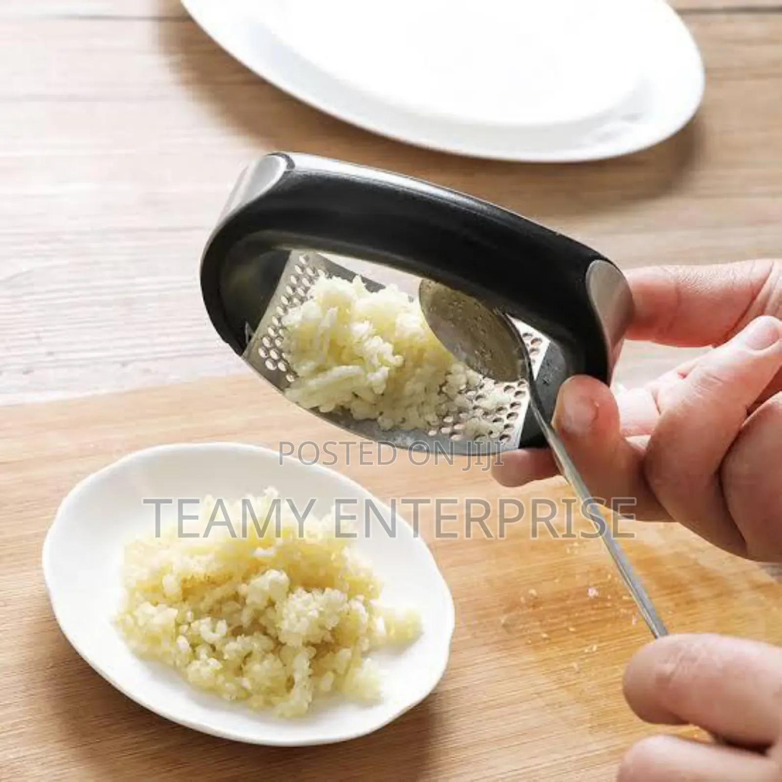 Manual Garlic Press