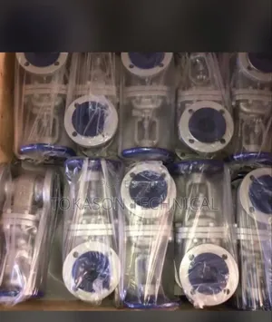 Multiple Gate Valves, All Types of Gate Valve Is Available