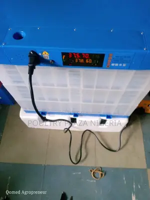 Solar Incubator 256 Eggs Capacity