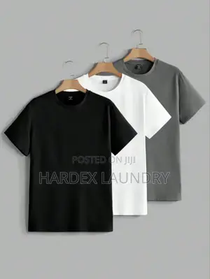 Professional Laundry Dry Cleaning