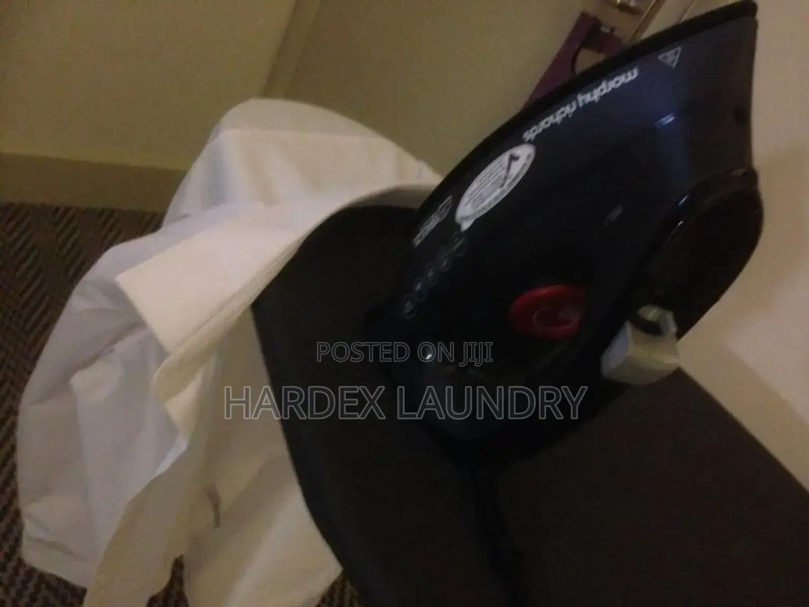 Professional Laundry Dry Cleaning