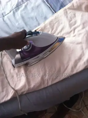 Professional Laundry Dry Cleaning