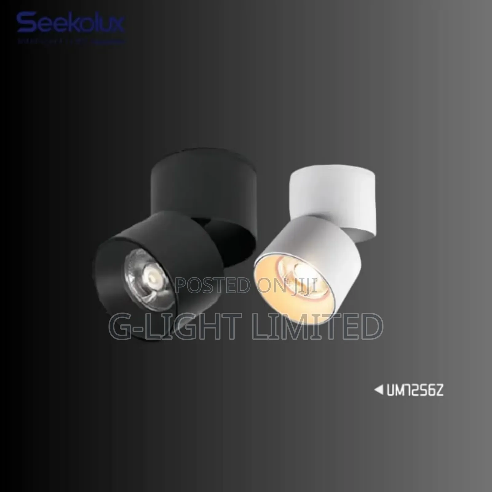 Recessed Surface Light
