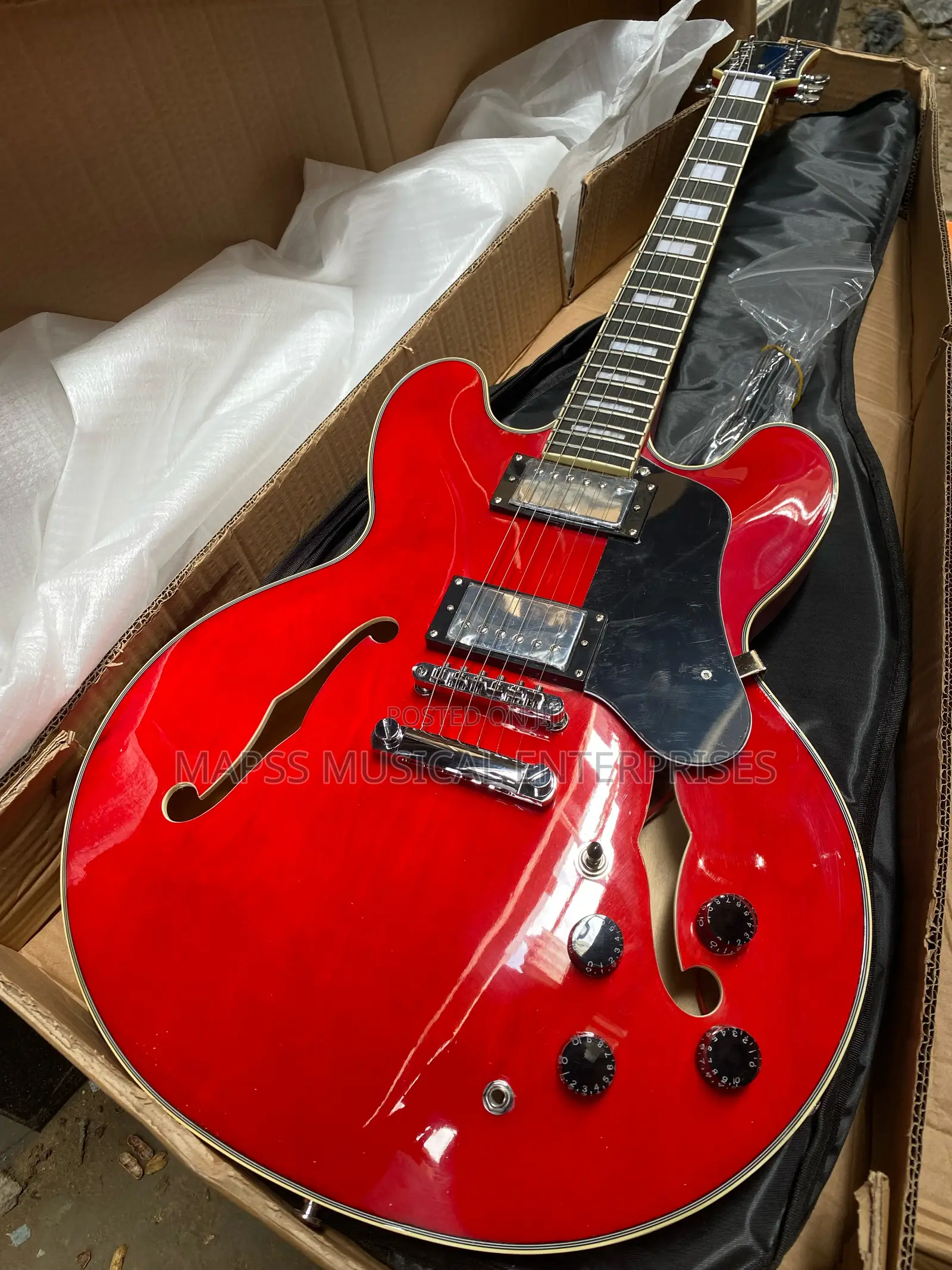 Fender Semi-Hollow Body Electric Guitar