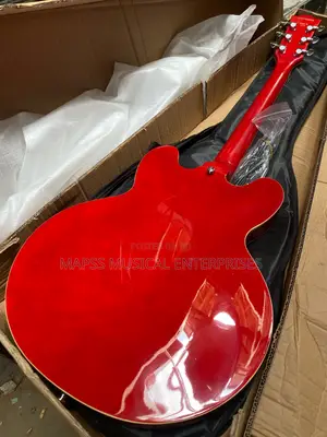 Fender Semi-Hollow Body Electric Guitar