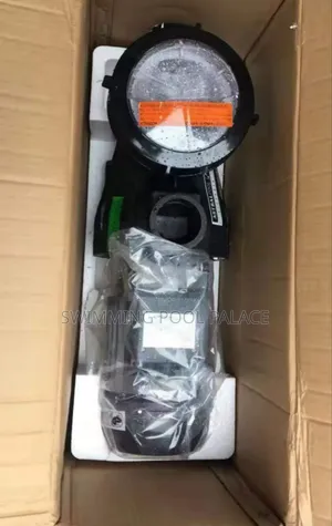 Astral Swimming Pool Pump