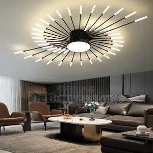 Modern Led Fireworks Ceiling Lamp