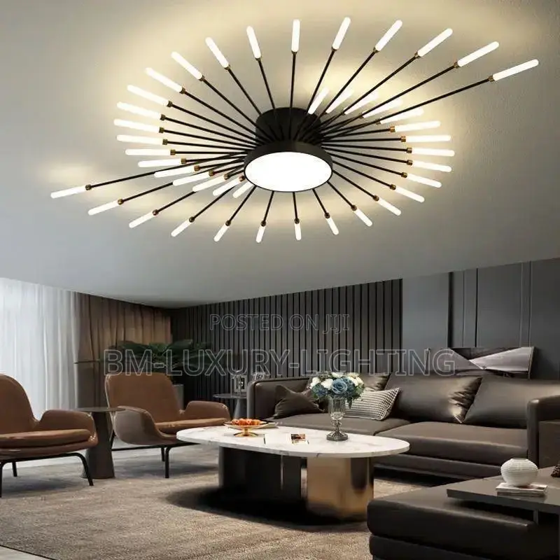 Modern Led Fireworks Ceiling Lamp