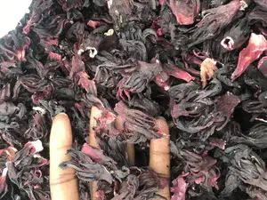 Hibiscus Flowers