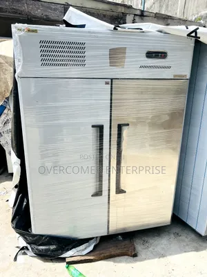 2 Door Stainless Steel Freezer