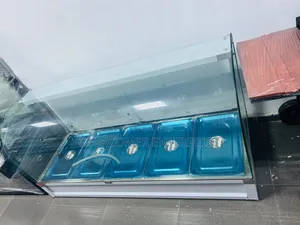5 Plates Curved Glass Food Warmer