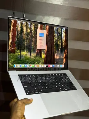Laptop Apple MacBook Pro 2024 M4 Max 16-inch 48GB Apple M4 Max SSD 1T