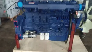 High Quality Certified Brand New P10e22 Shacman Engine.