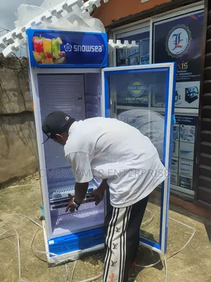 Commercial Snowsea Chiller