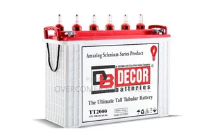 Tall Tubular Battery