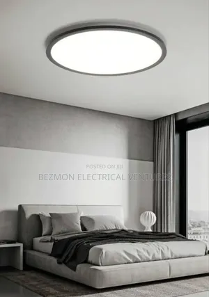 Morden Ceiling Light Available for Sale