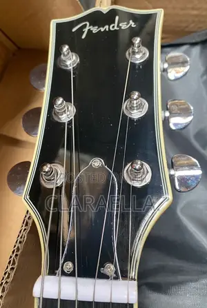 Fender Semi- Hollow Body Electric Guitar