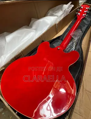Fender Semi- Hollow Body Electric Guitar