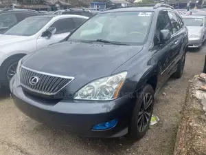 Lexus RX 330 2004 Gray
