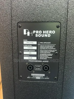 Pro Hero Line Professional Line Array Speaker