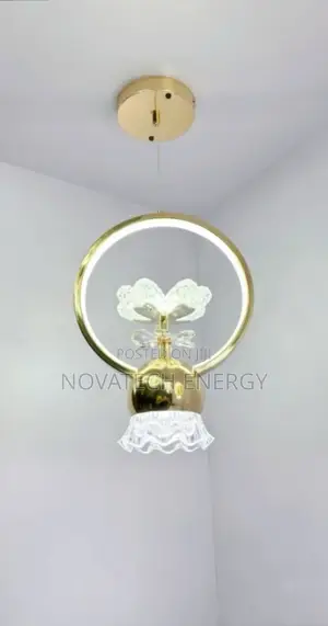 Item 0267 of Simple Single Dropping Pendant Light