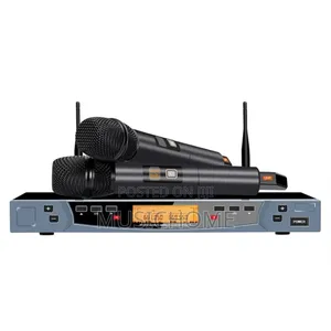 Dual Professional Handheld Wireless Microphone