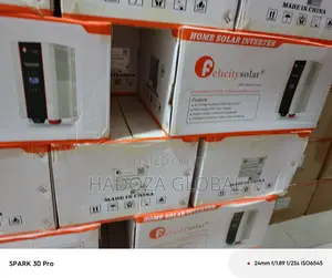 High-performance Felicity Pure Sine Inverter 24v