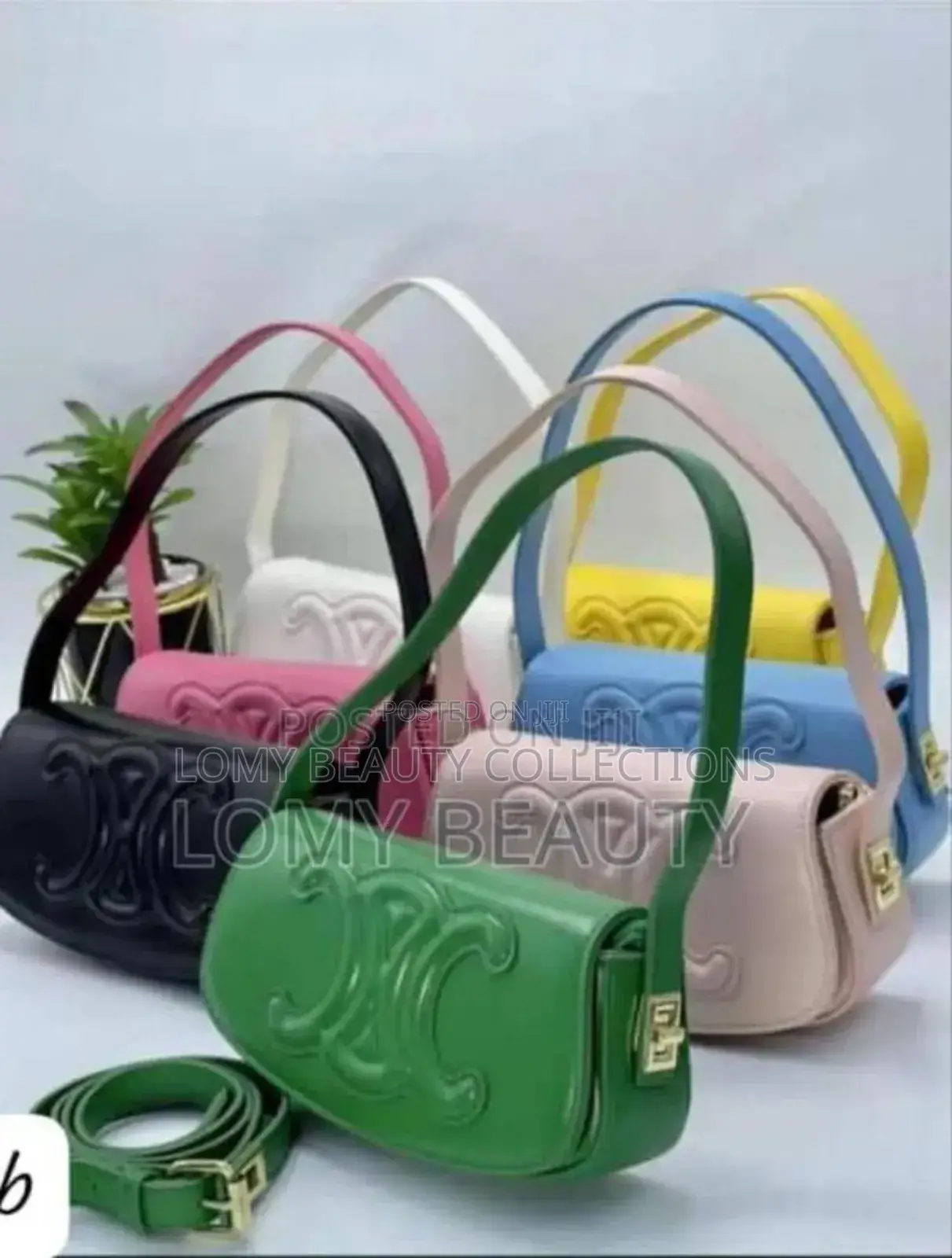 Moderate Handbag