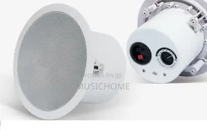 Powerful Ceiling Speaker
