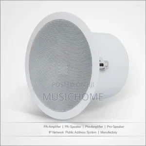 Powerful Ceiling Speaker
