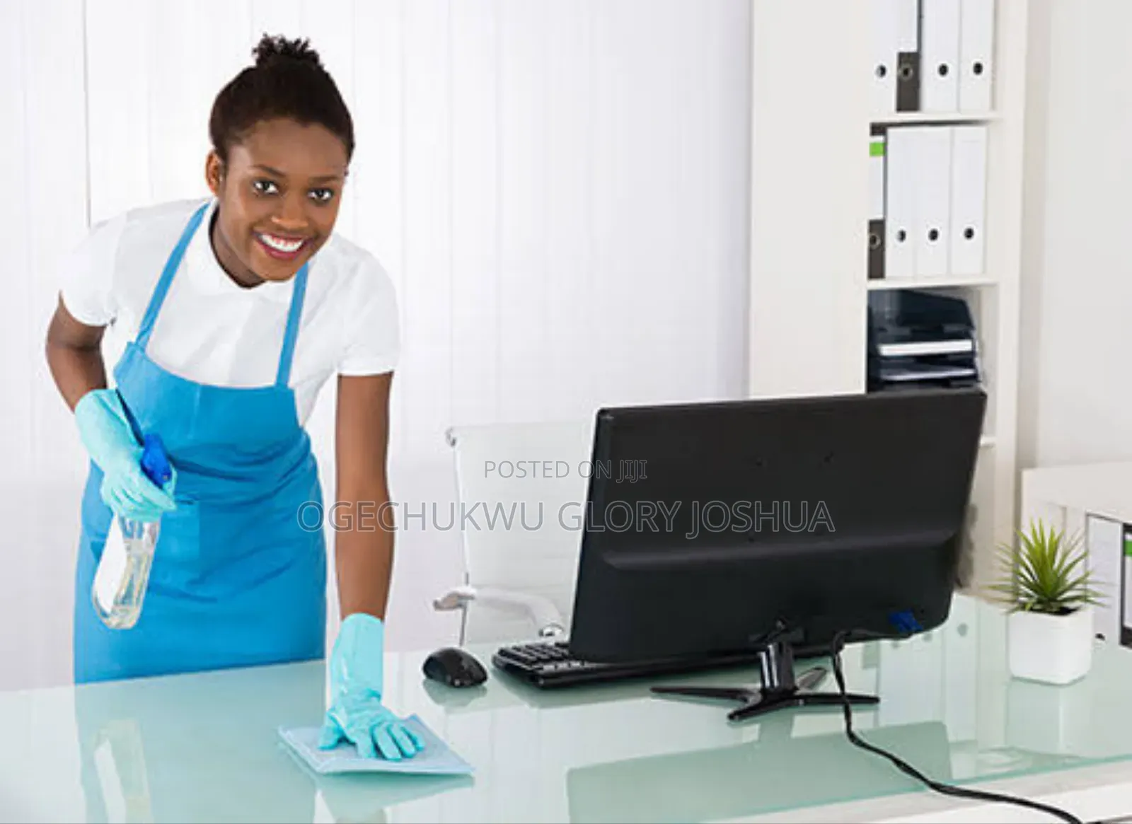 Professional Cleaning Services