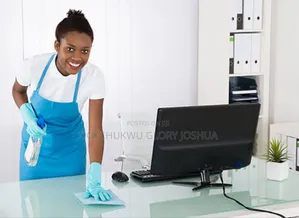 Professional Cleaning Services
