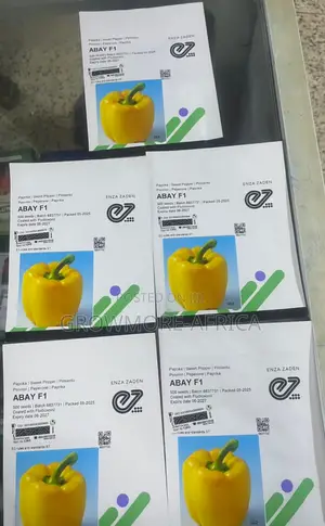 Abay F1 Yellow Bell Pepper Seeds