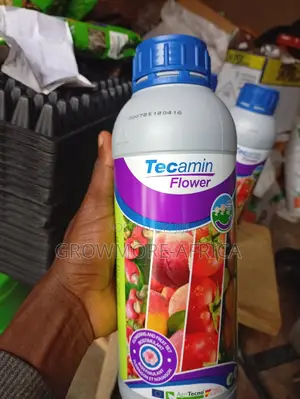 Tecamin Flower