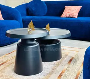 2 in 1 Metal Table