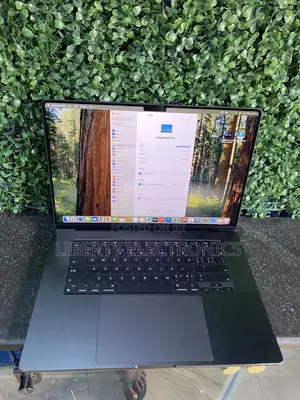 Apple MacBook Pro 2023 M3 Pro 16-Inch 36GB Apple M3 Pro SSD 512GB