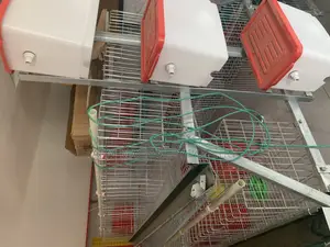 Layers Cage