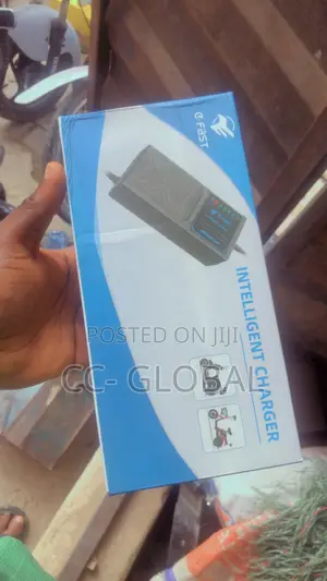 60v 20ah E-Bike Charger