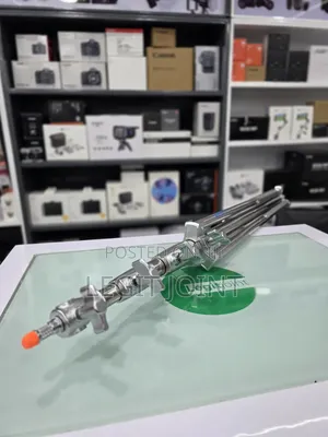 Silver Heavy-Duty Light Stand