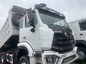 Covid 19 Howo 371 Tipper White