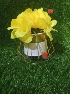 Cup Flower With Golden Vase,🌺
