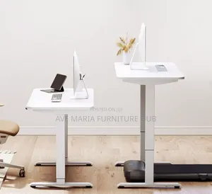 Sit-Stand Adjustable Desk.