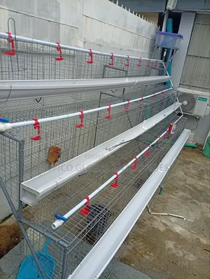 Complete 1 Set of Poultry Cafe