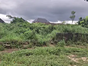 Land For Sale At Orji Town Annex