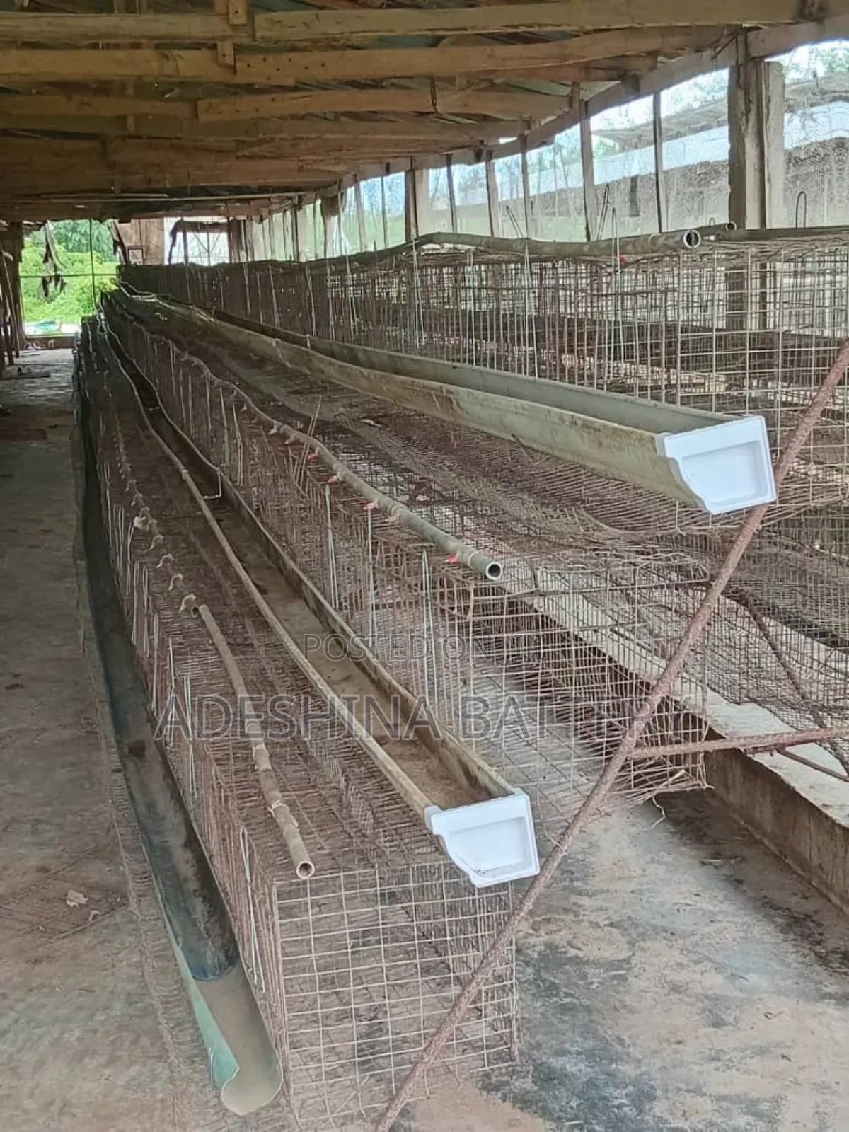 Used Cages
