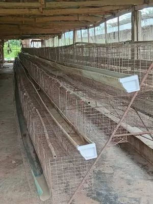 Used Cages