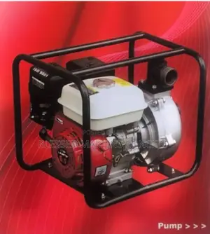 2" Pavo Punda Water Pump Wp20