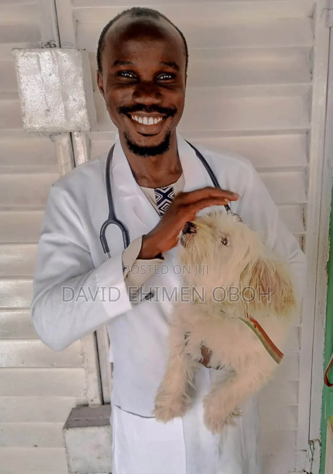 Veterinary Doctor/Consultant